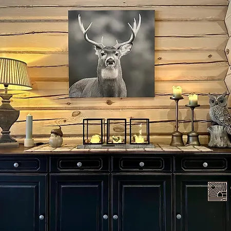 Hébergement de vacances Stylish Log In With View & Sauna *